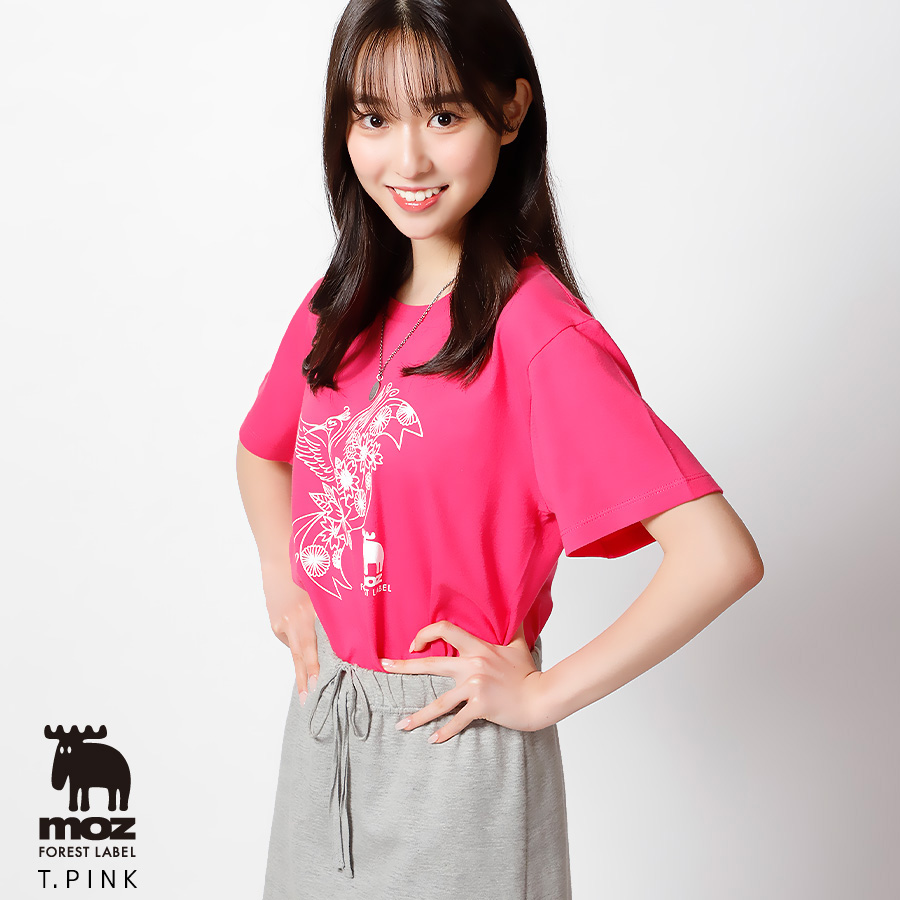 【新品未開封多数】WILD BUNCH FES 限定Tシャツ 17枚セット 大庭雅×moz FOREST LABEL コラボキャップ